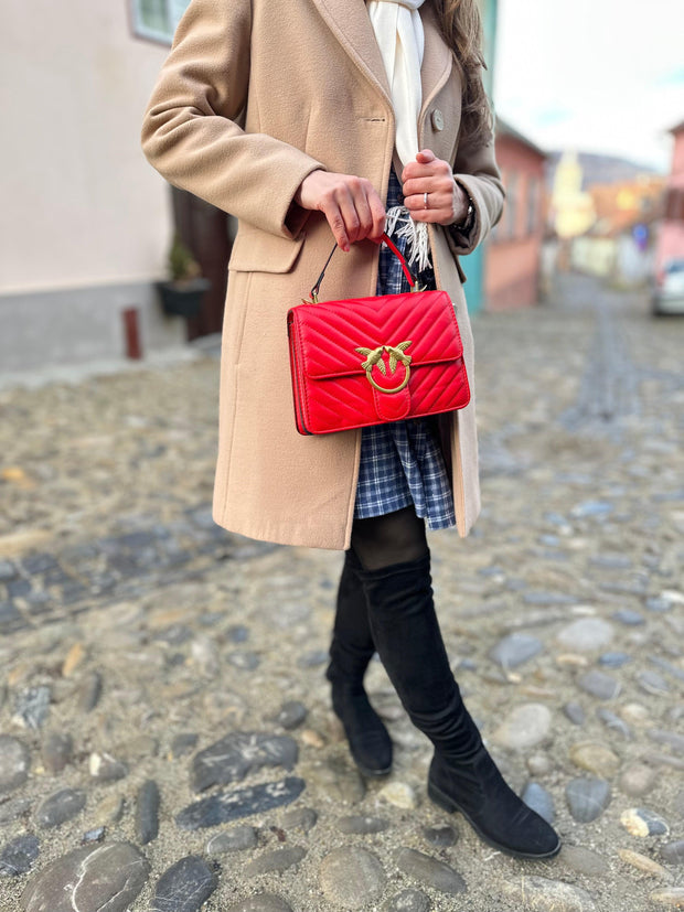 Paloma Reddish Bag