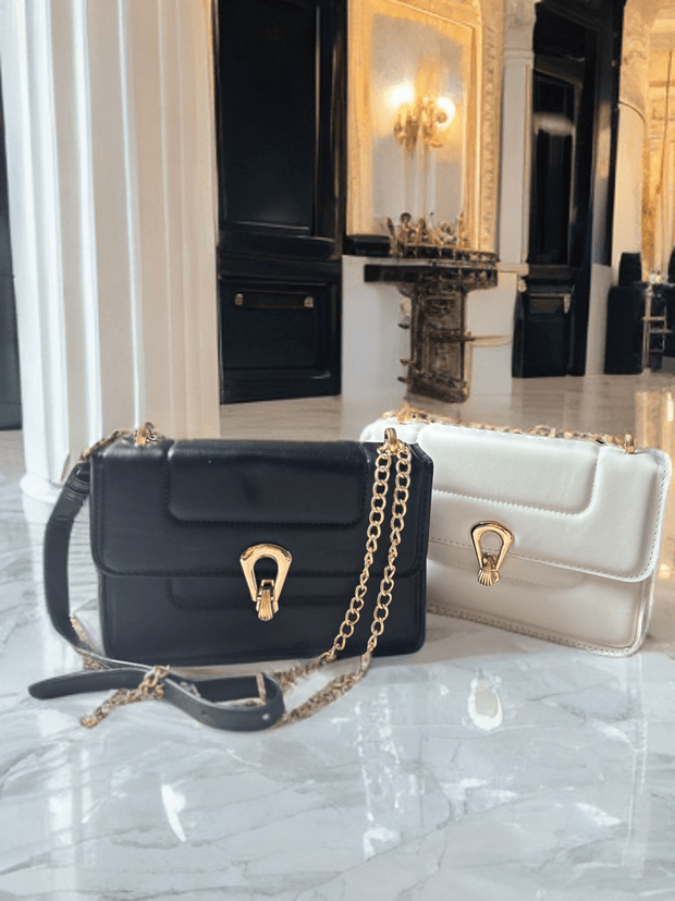 Darina Black Bag