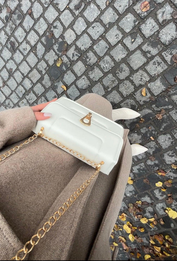 Darina Black Bag